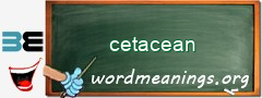 WordMeaning blackboard for cetacean